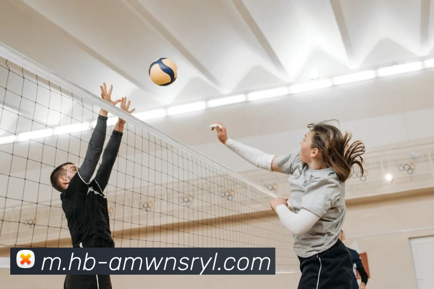 威尼斯人娱乐网站平台生态图